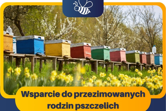 Wsparcie pszczelarzy