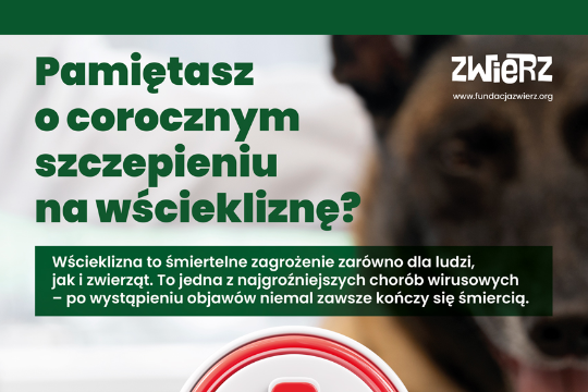 Plakat o obowiązku szczepienia psów - Fundacja ZWIERZ
