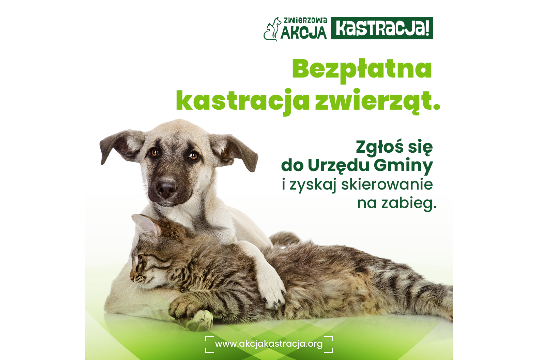 ZWIERZowa Akcja Kastracja