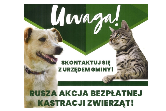 Programem opieki nad zwierzętami bezdomnymi oraz zapobiegania bezdomności zwierząt