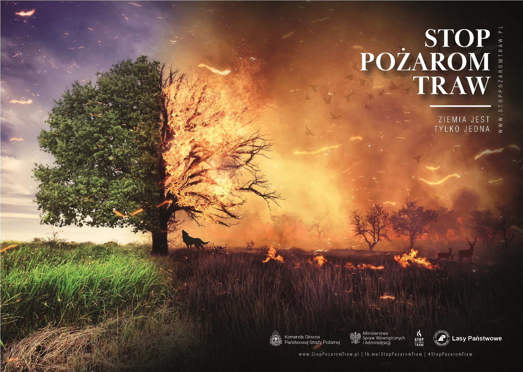 Stop Pożarom Traw