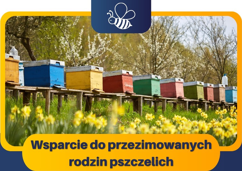 Wsparcie pszczelarzy